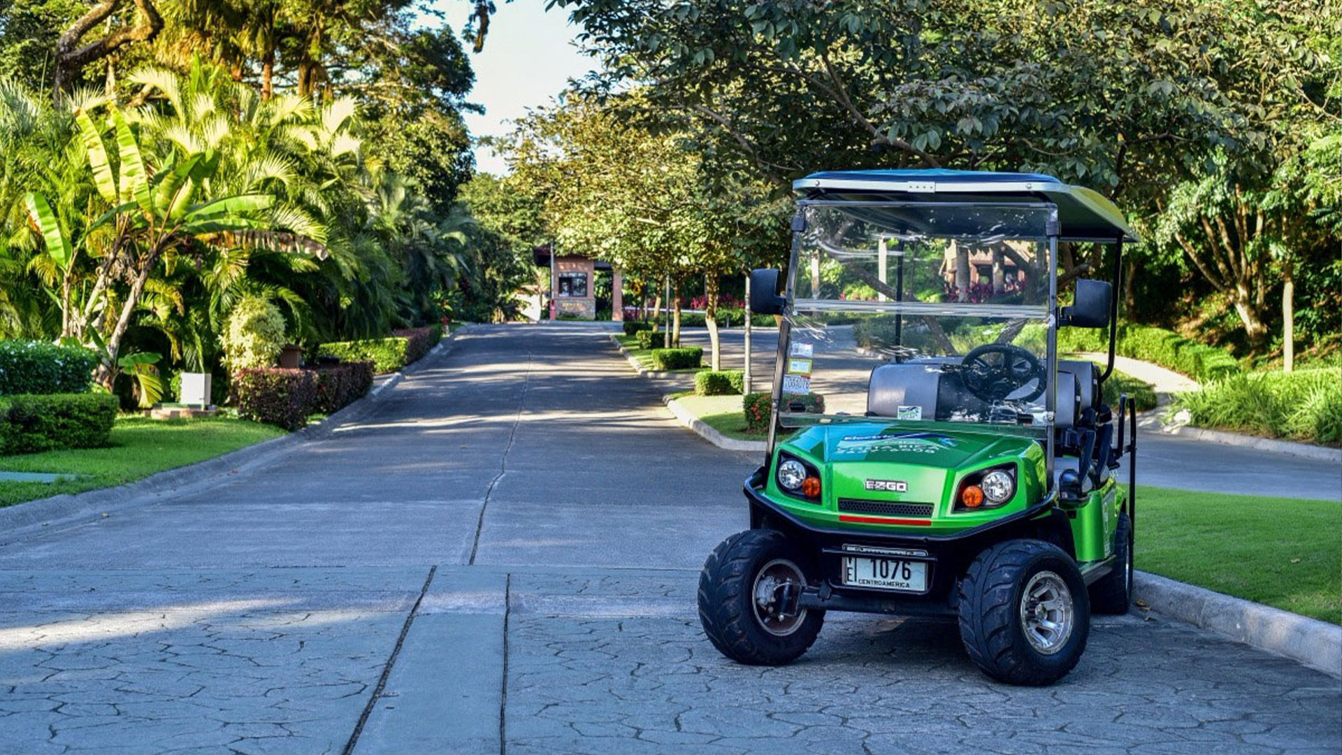 Los Sueños Golf Cart Retals